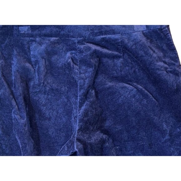 Talbots Petites‎ Curvy Fit Velvet Ankle Pants in Blue Size 6P - Picture 3 of 6